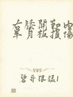 右膝关节内外侧半月板损伤二度封面