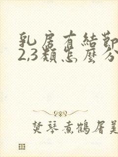 乳房有结节1,2,3类怎么分封面