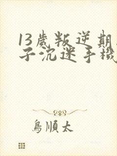 13岁叛逆期孩子沉迷手机怎么教