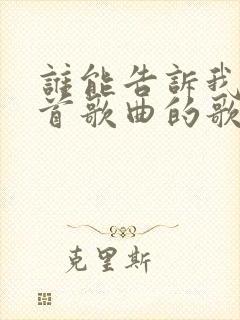 谁能告诉我是哪首歌曲的歌词