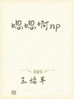 嗯嗯啊np
