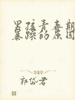 男孩青春期易怒暴躁的原因?