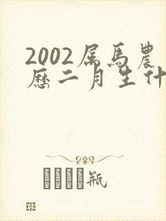 2002属马农历二月生什么命
