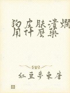 狗皮肤溃烂掉毛用什么药