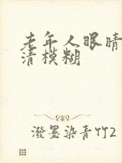 老年人眼睛看不清模糊