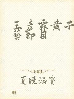 王彦霖黄子韬综艺节目封面