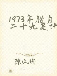 1973年腊月二十九是什么命封面