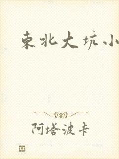 东北大坑小说封面