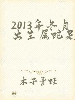 2013年冬月出生属蛇是什么命
