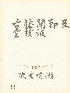 右膝关节及髌上囊积液