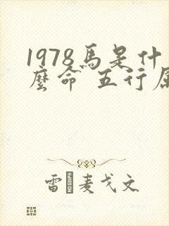 1978马是什么命 五行属什么