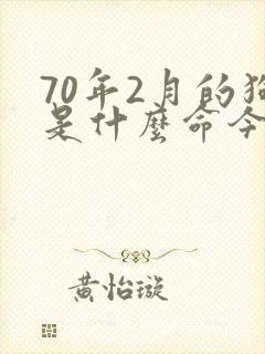70年2月的狗是什么命今年财运如何