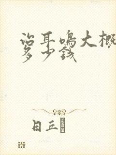 治耳鸣大概要花多少钱