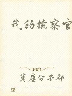 我的检察官先生