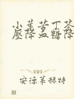 小叶苦丁茶降血压降血糖降血脂