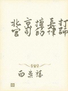 北京擅长打行政官司的律师