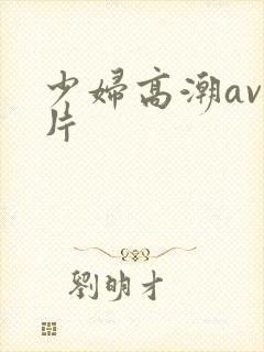 少妇高潮av毛片
