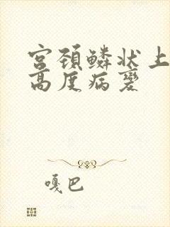 宫颈鳞状上皮 高度病变
