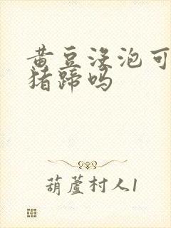 黄豆没泡可以炖猪蹄吗封面