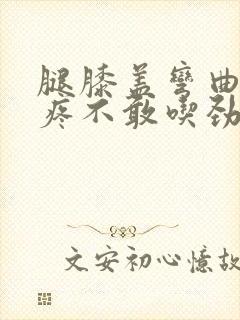 腿膝盖弯曲伸直疼不敢吃劲怎么回事封面