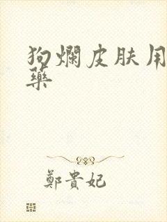 狗烂皮肤用什么药