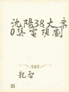 沈阳38大案20集电视剧