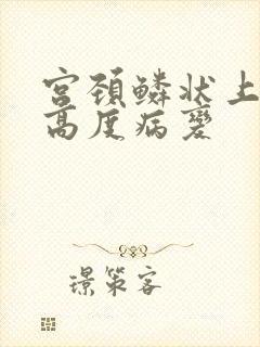 宫颈鳞状上皮 高度病变