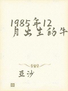 1985年12月出生的牛命运如何