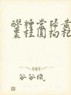 醪糟当归黄芪红枣桂圆枸杞封面