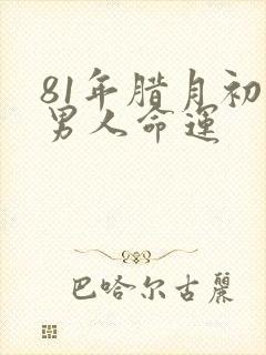 81年腊月初一男人命运