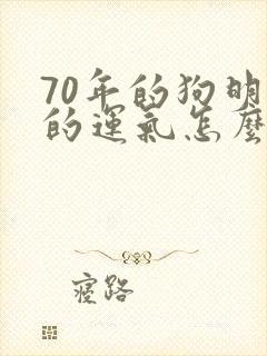 70年的狗明年的运气怎么样
