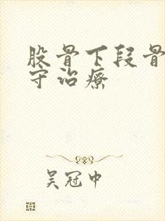 股骨下段骨折保守治疗封面