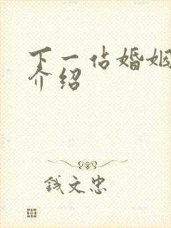 下一站婚姻剧情介绍