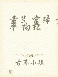 黄芪 当归 党参 枸杞封面