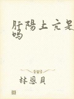 肝阳上亢是上火吗