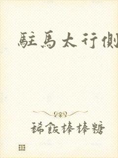 驻马太行侧