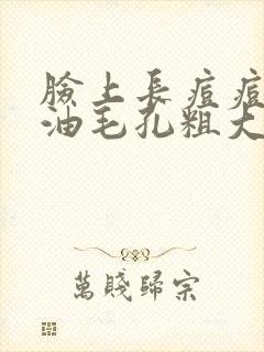 脸上长痘痘爱出油毛孔粗大怎么办