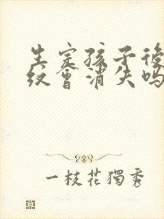 生完孩子后妊娠纹会消失吗