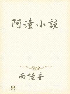 阿潼小说封面
