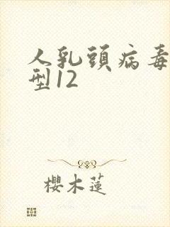 人乳头病毒高危型12
