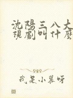 沈阳三八大案电视剧叫什么名字封面