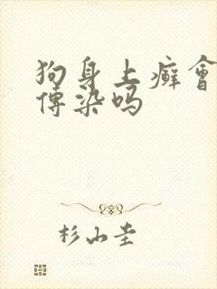 狗身上癣会互相传染吗封面