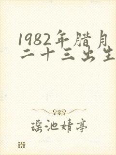 1982年腊月二十三出生是什么命