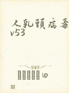 人乳头病毒hpv53