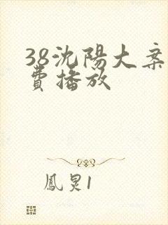 38沈阳大案免费播放