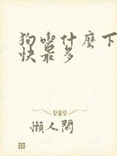 狗吃什么下奶最快最多