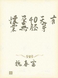 怀孕40天有孕囊无胚芽