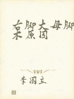 右脚大母脚趾麻木原因封面