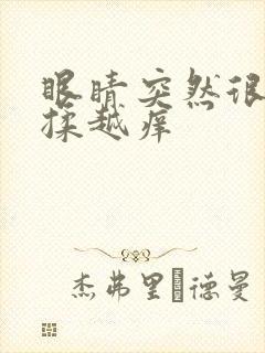 眼睛突然很痒越揉越痒