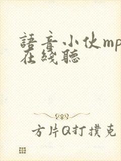 语音小伙mp3在线听